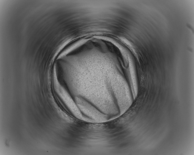 X0000091000859200708241448