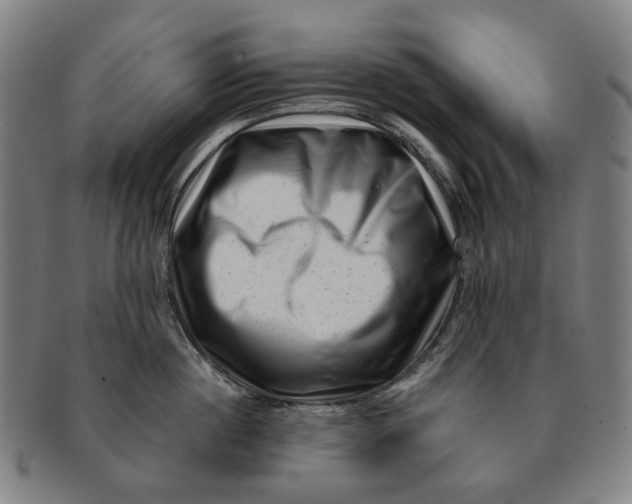 X0000091000860200708241448