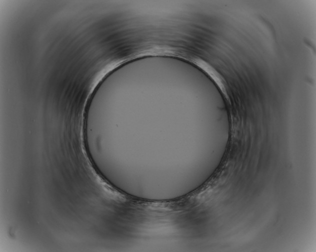 X0000091000861200708241448