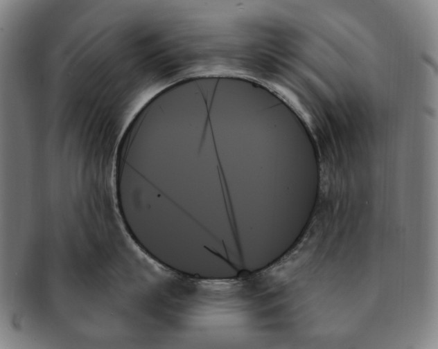 X0000091000863200708241448