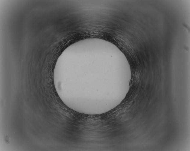 X0000091000865200708241447