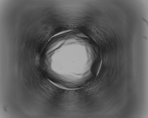 X0000091000866200708241447