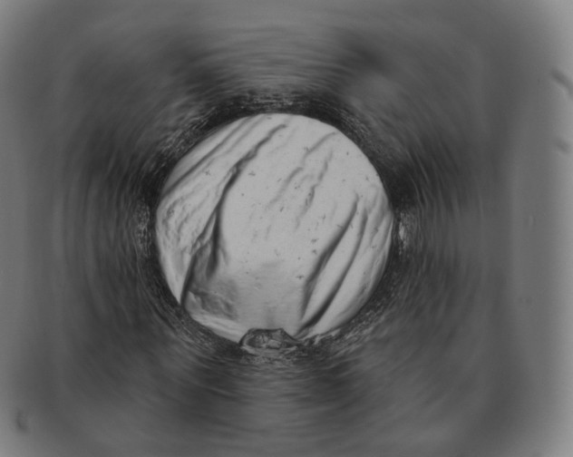 X0000091000867200708241447