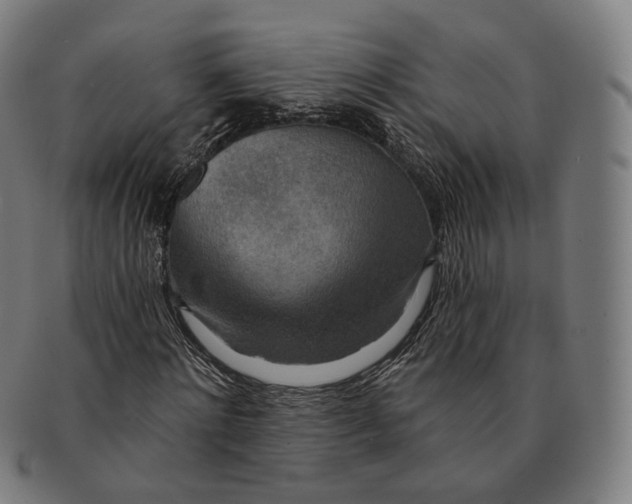 X0000091000868200708241447