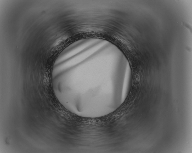 X0000091000869200708241447