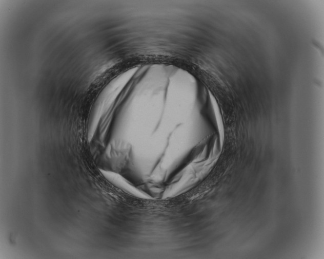 X0000091000870200708241447