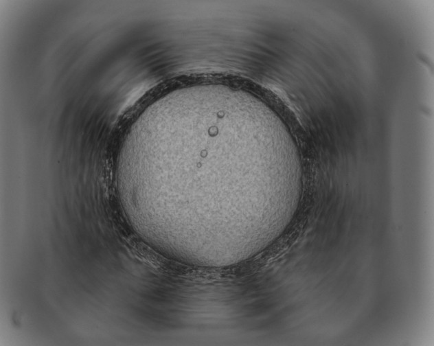 X0000091000871200708241447