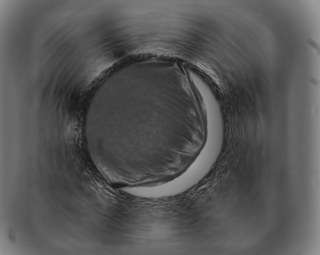X0000091000872200708241447