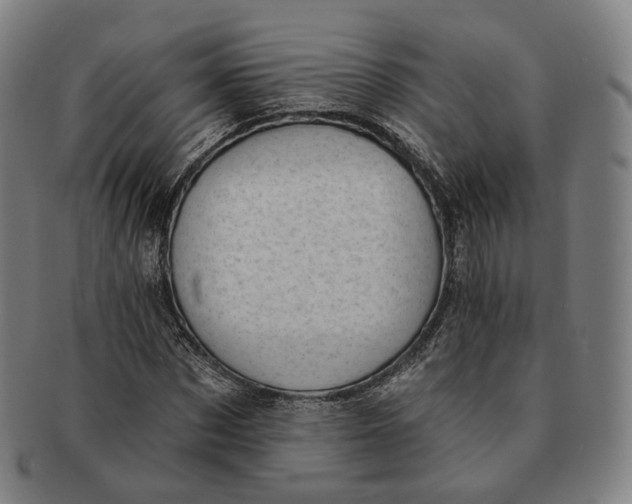 X0000091000873200708241447