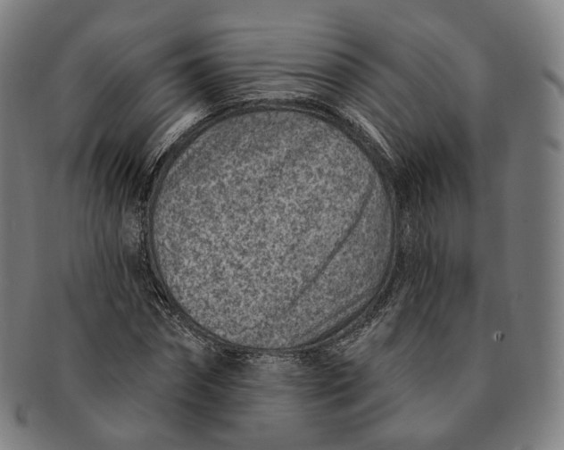 X0000091000874200708241447
