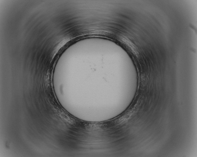 X0000091000875200708241447