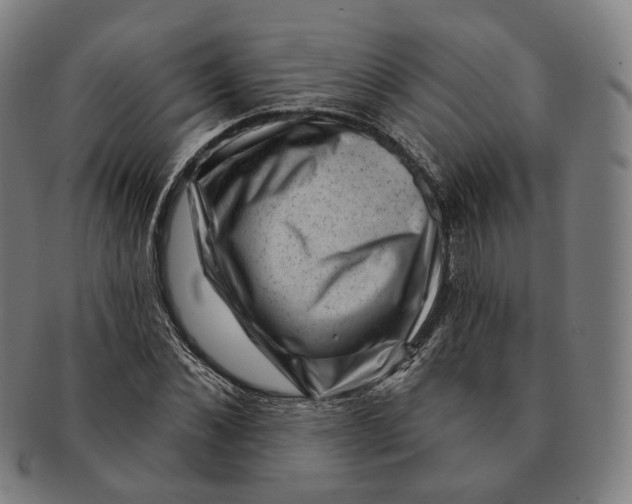 X0000091000876200708241447