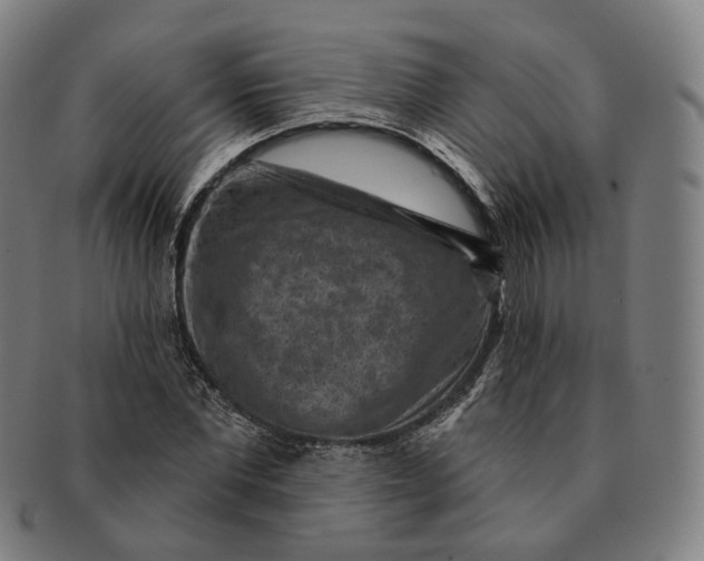 X0000091000877200708241447