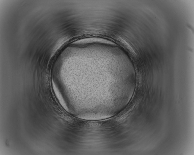 X0000091000878200708241447