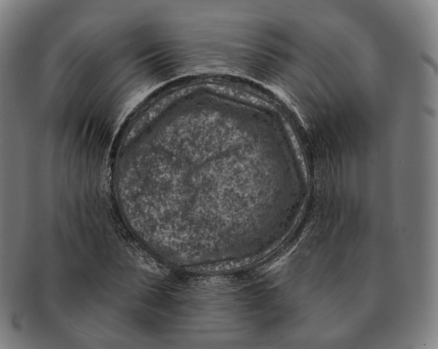 X0000091000879200708241447