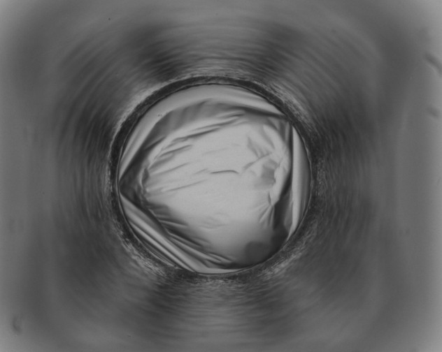 X0000091000880200708241447