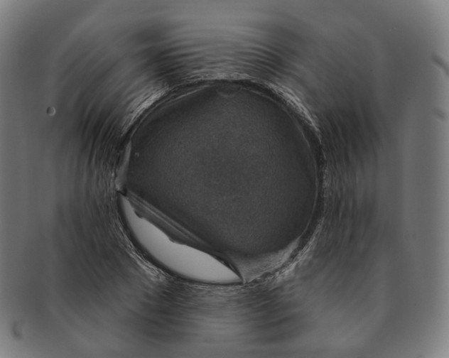 X0000091000881200708241447