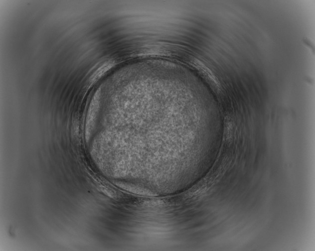 X0000091000882200708241447