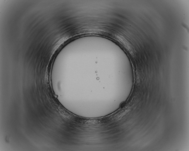 X0000091000883200708241447