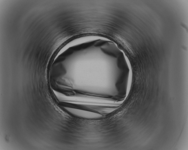 X0000091000884200708241447