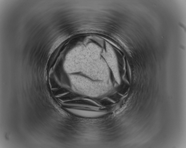 X0000091000885200708241447
