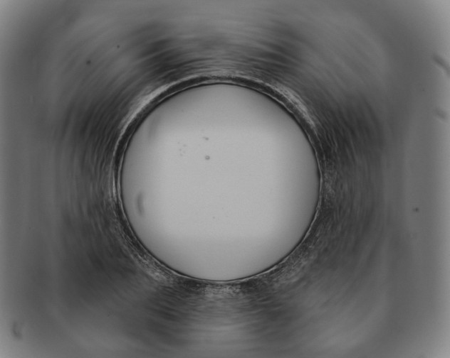 X0000091000887200708241447