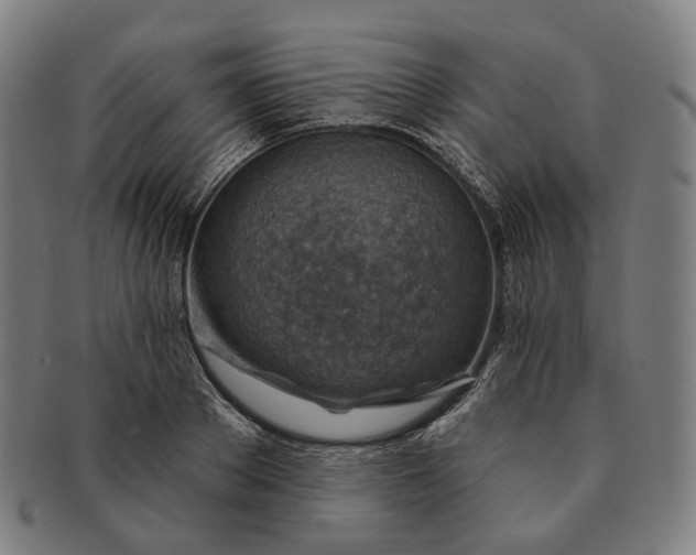 X0000091000889200708241447
