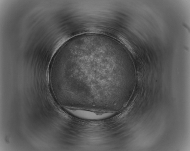 X0000091000891200708241447