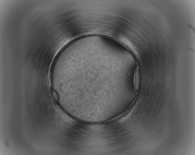 X0000091000892200708241447