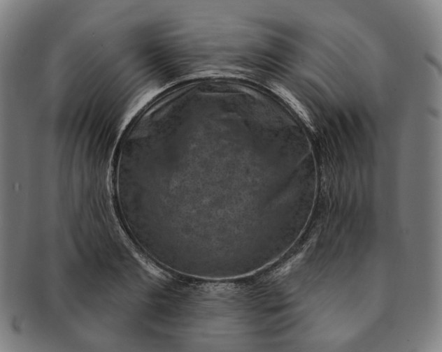 X0000091000893200708241446