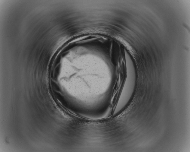 X0000091000894200708241446