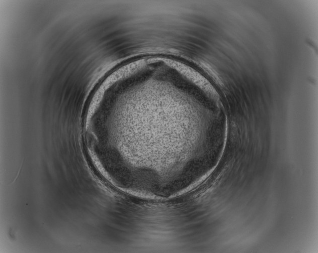 X0000091000895200708241446