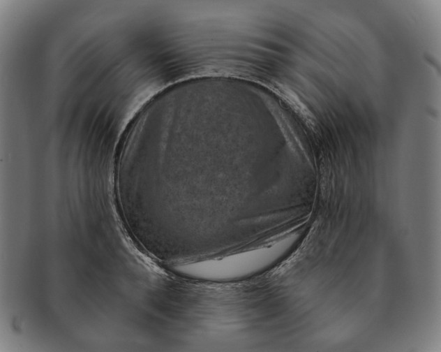 X0000091000896200708241446