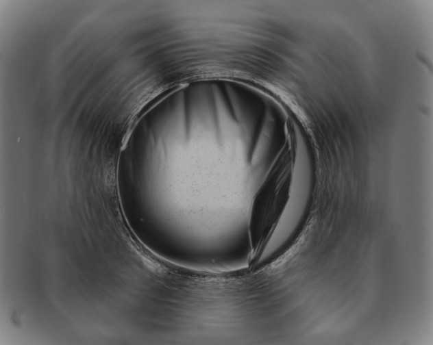 X0000091000897200708241446