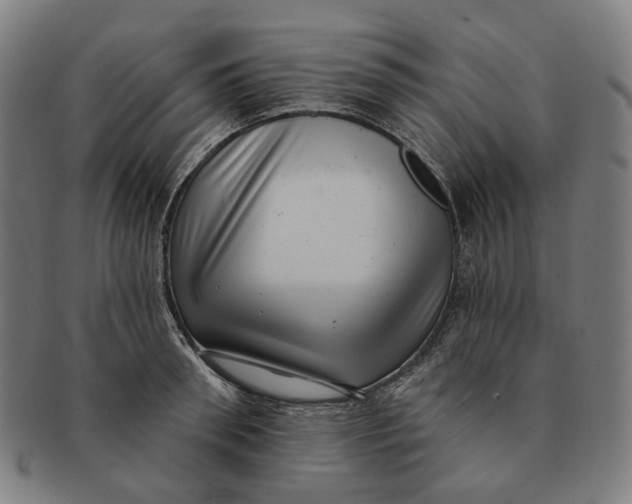 X0000091000898200708241446