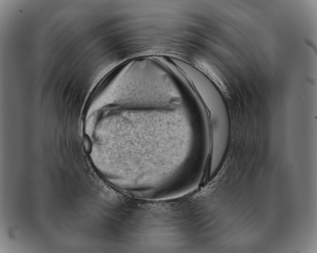 X0000091000900200708241446