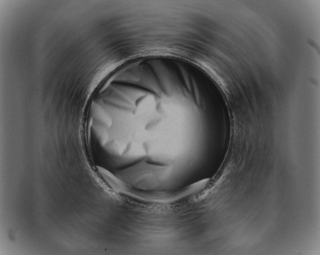 X0000091000901200708241446