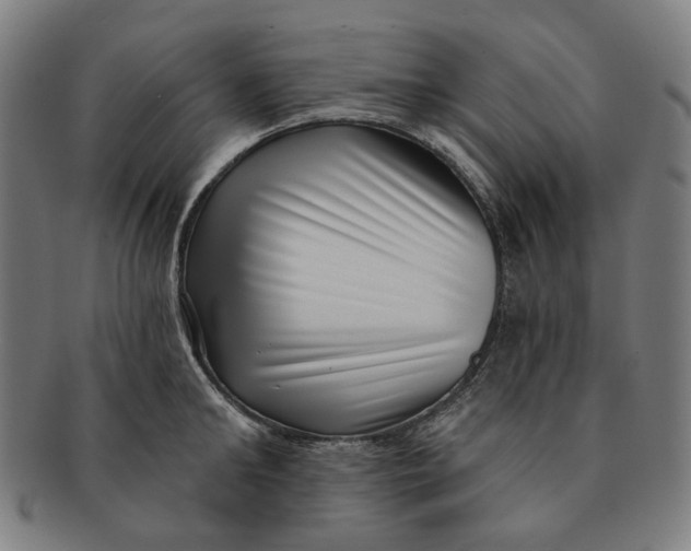 X0000091000902200708241446