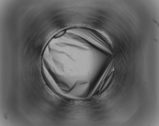 X0000091000903200708241446