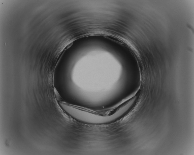 X0000091000905200708241446