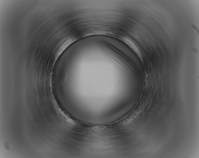 X0000091000906200708241446