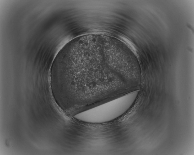 X0000091000907200708241446