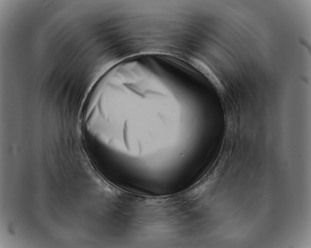 X0000091000908200708241446