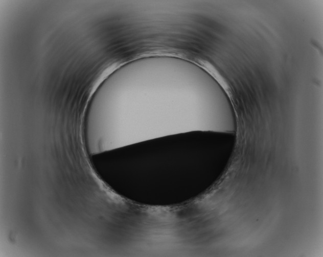 X0000091000909200708241446