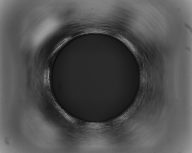 X0000091000910200708241446