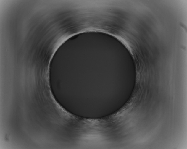 X0000091000911200708241446