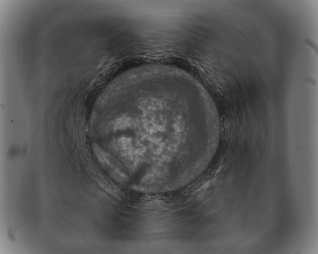 X0000091000913200708241446