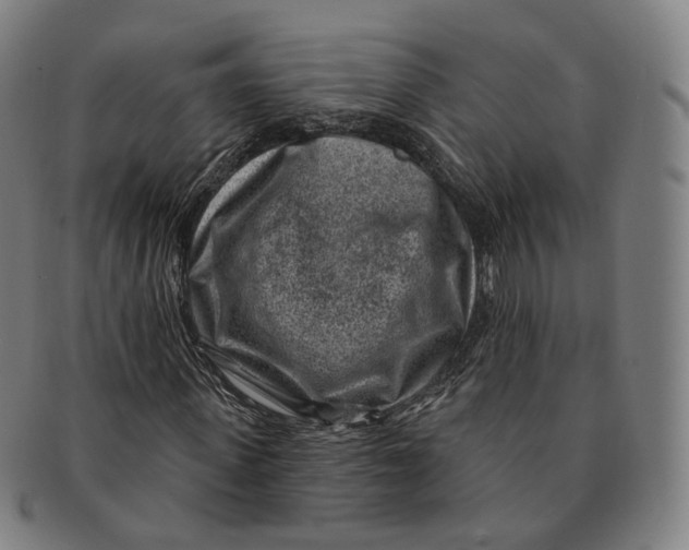 X0000091000915200708241446