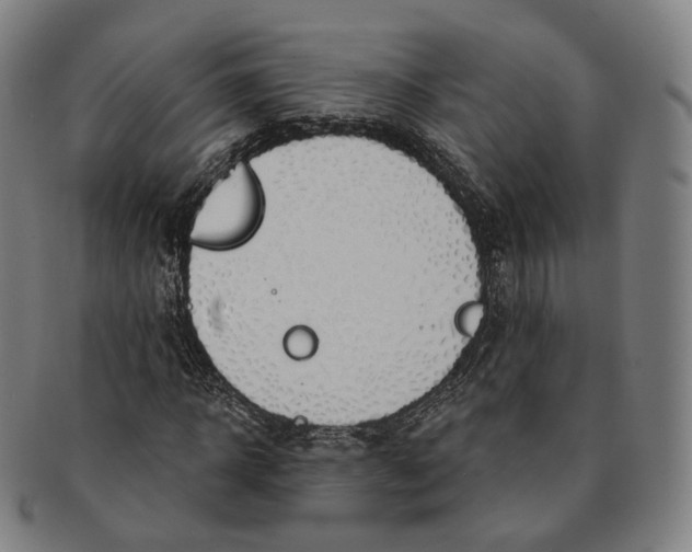 X0000091000918200708241446
