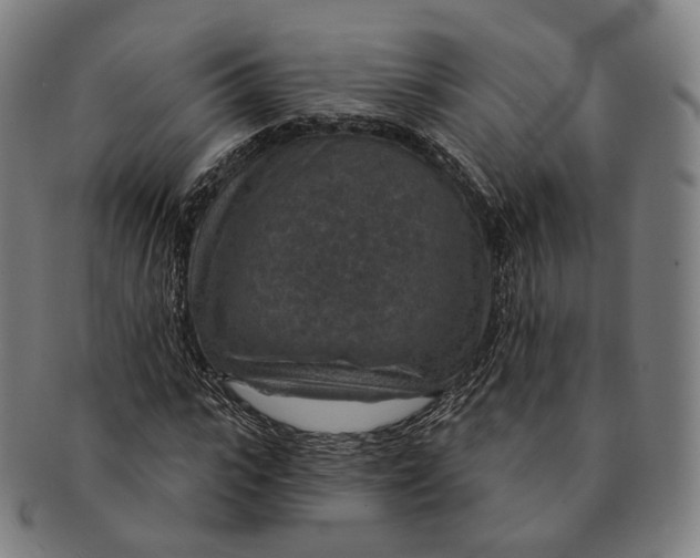 X0000091000919200708241446